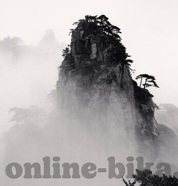 国产一区二区精品成人av麻豆-构建和谐网络环境的思考